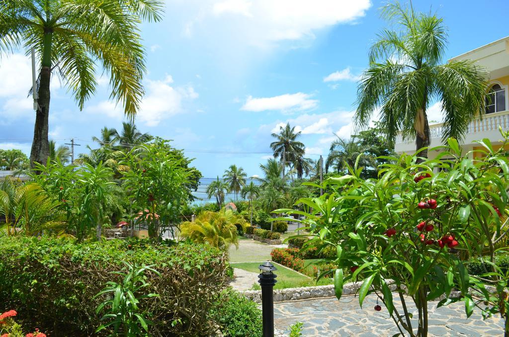 Las Palmeras Riki R Boca Chica Ngoại thất bức ảnh